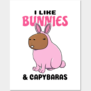 I Like Bunnies and Capybaras Posters and Art